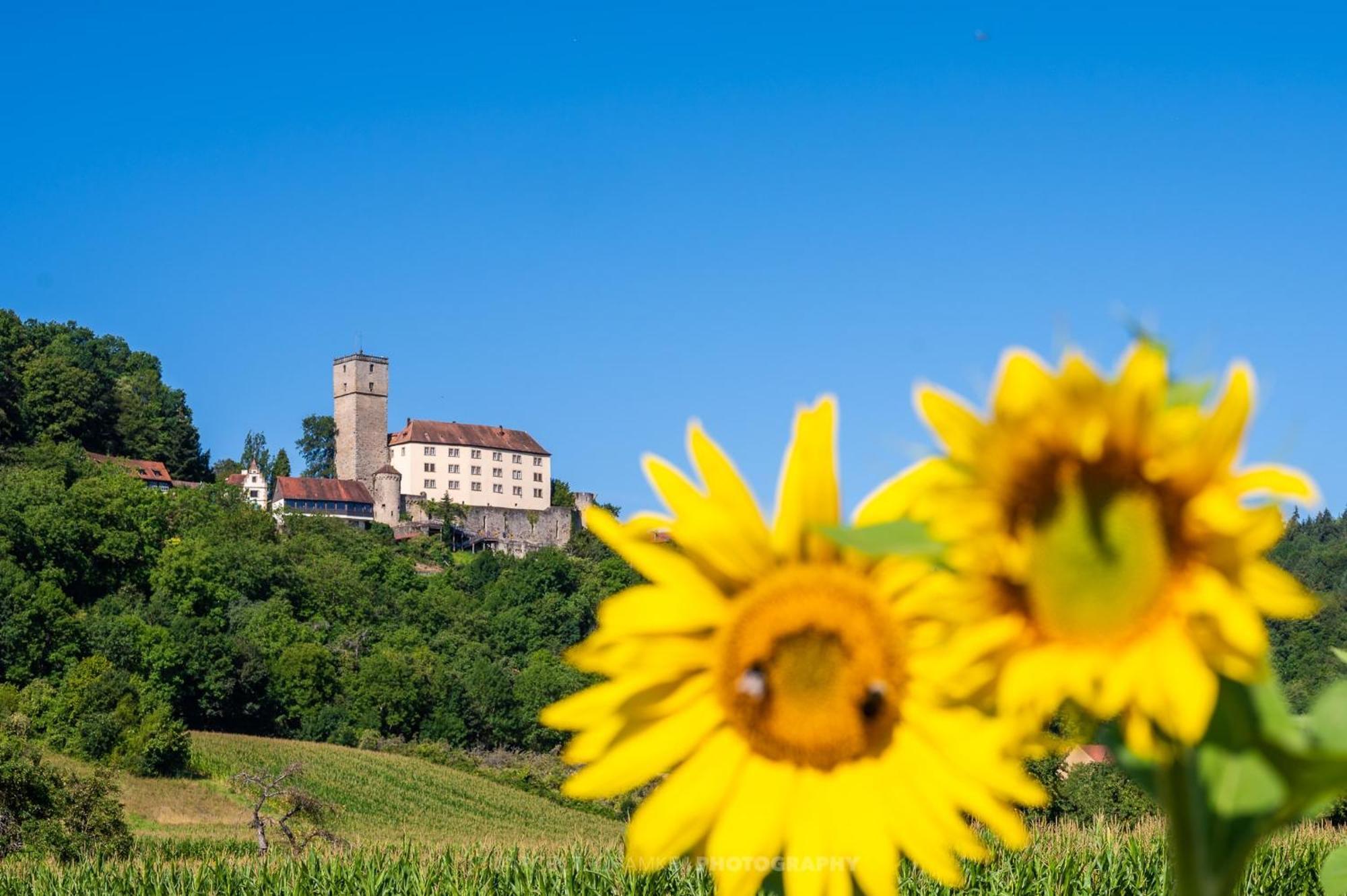 Вілла Wohnen Auf Der Ritterburg Hassmersheim Екстер'єр фото